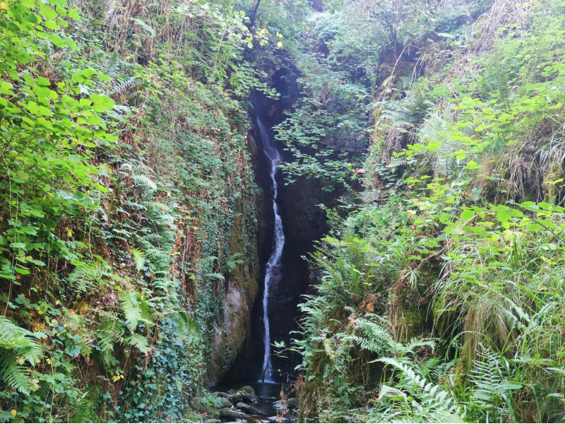 Gualtón del Medio