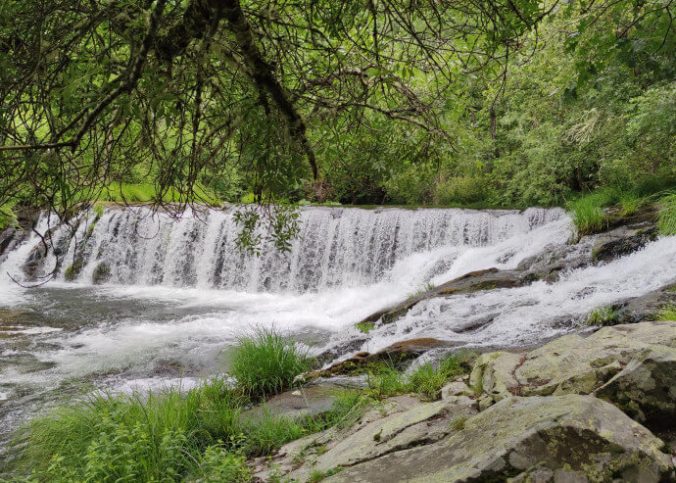 El Bierzo