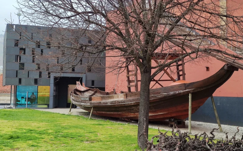 Museo del Douro ideas