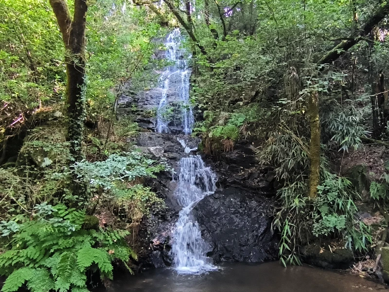 Escapadas cerca del Bierzo